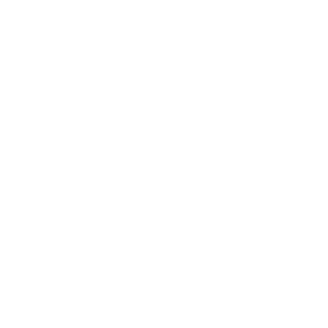 Chatbot CS